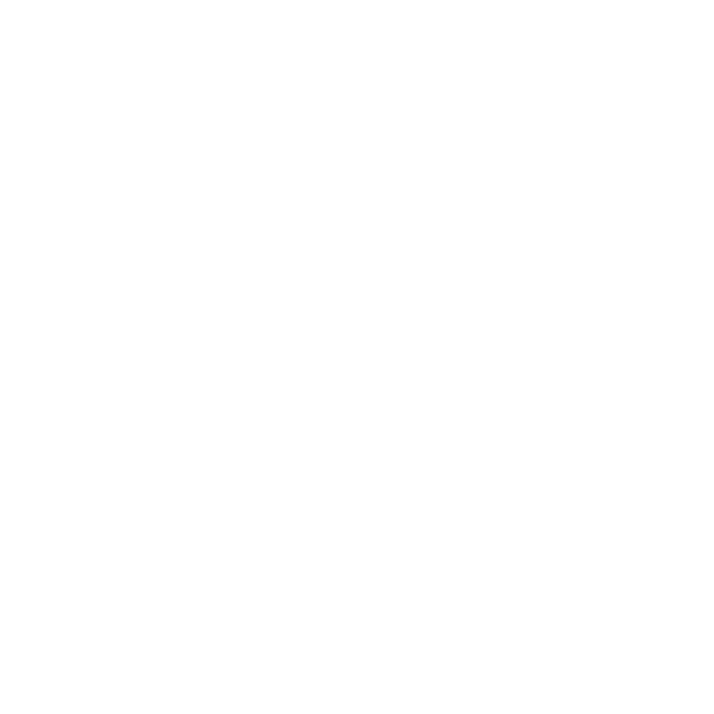 wordpress-white-logo